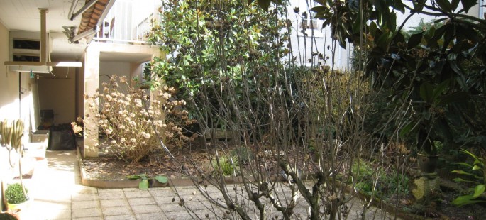 Image1