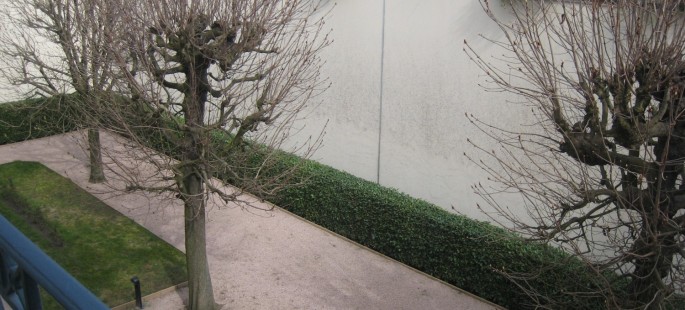 Image7