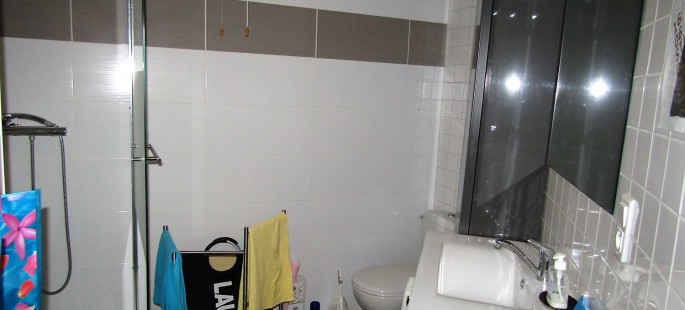 Image7