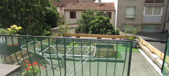 Image6