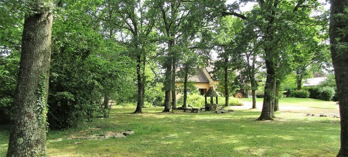 Image4
