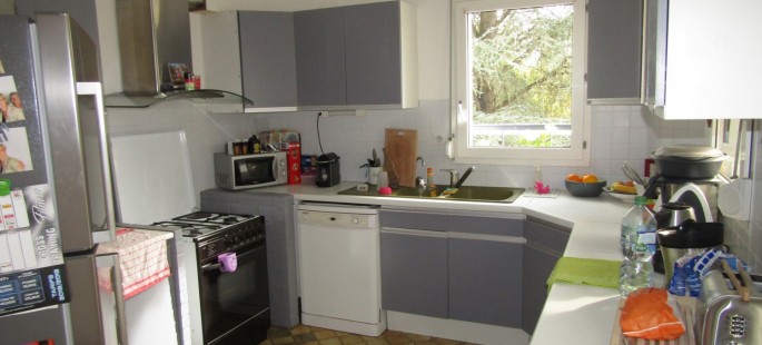 Image1
