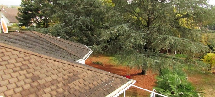 Image12