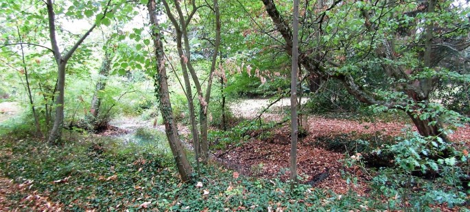 Image14