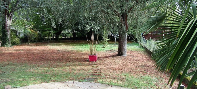 Image15