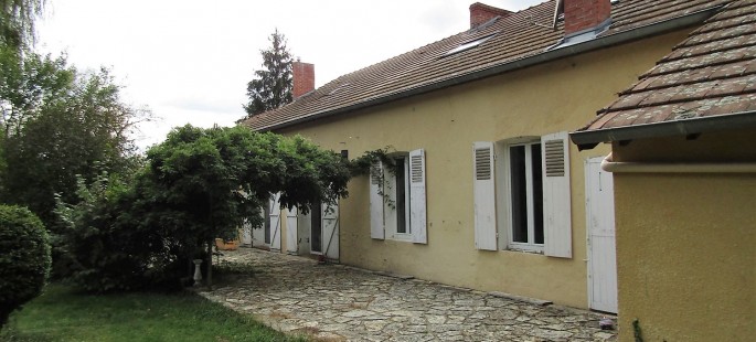 Image19