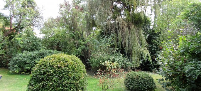 Image22