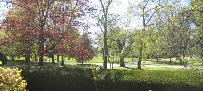 Image6