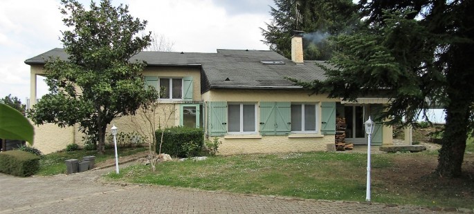 Image1