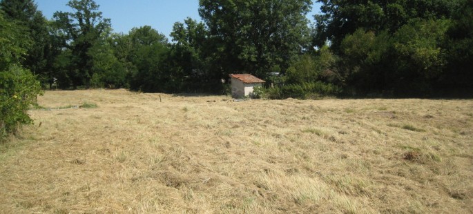 Image2