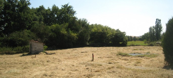 Image4