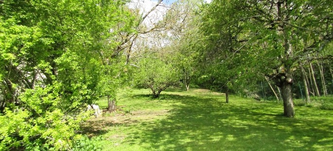 Image13