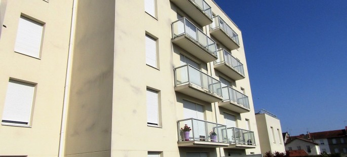 Image7
