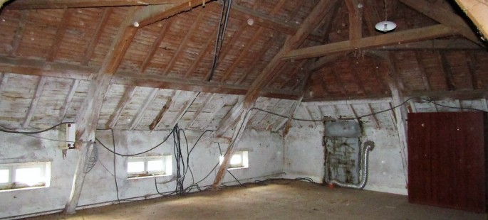 Image1