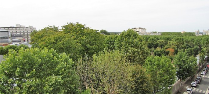 Image3