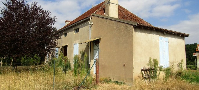 Image7