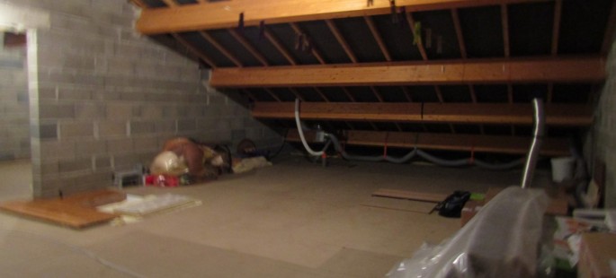 Image1