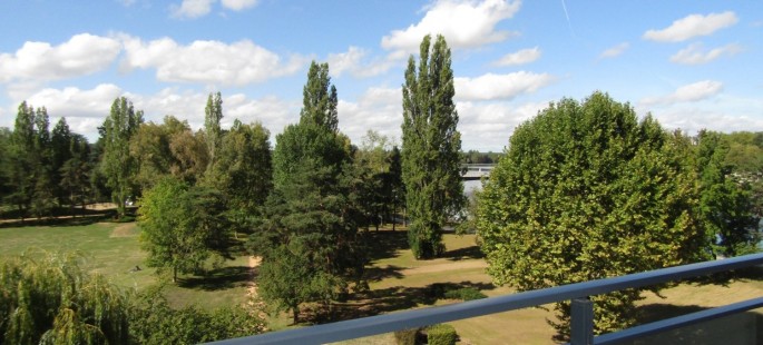 Image11
