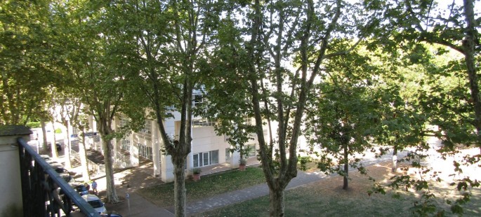 Image3