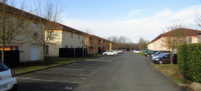 Image7
