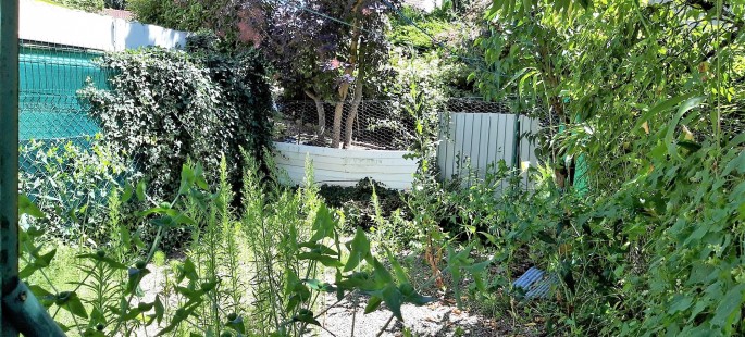 Image11