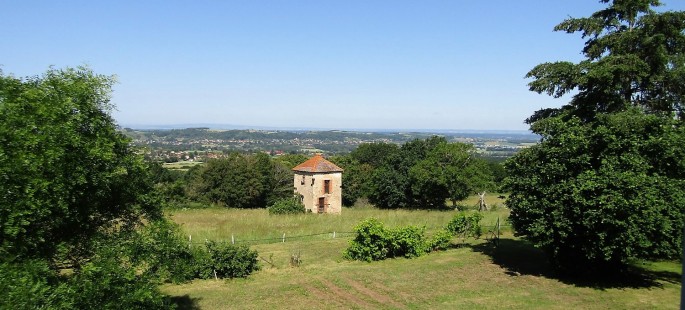 Image16