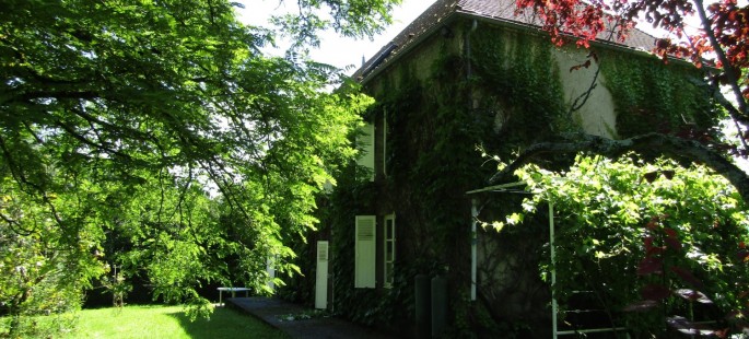 Image4