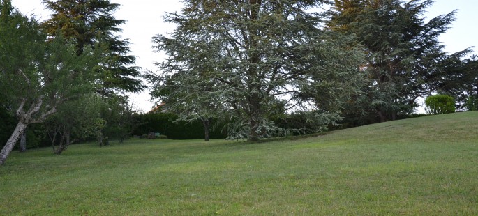 N° 7 PARC