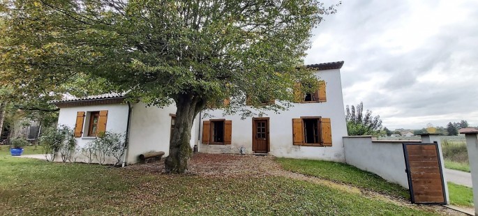 Image15
