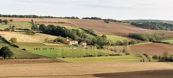 Image17