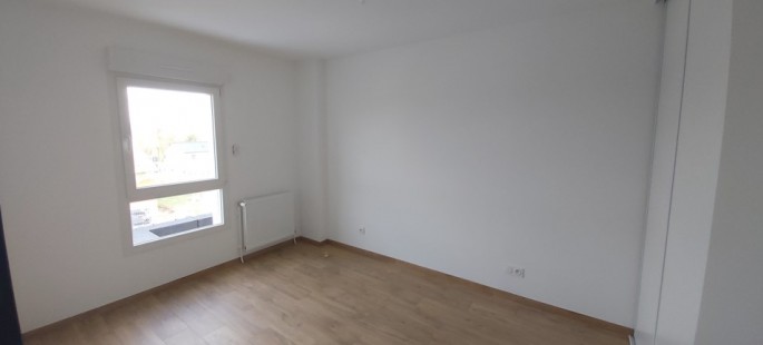 Image6