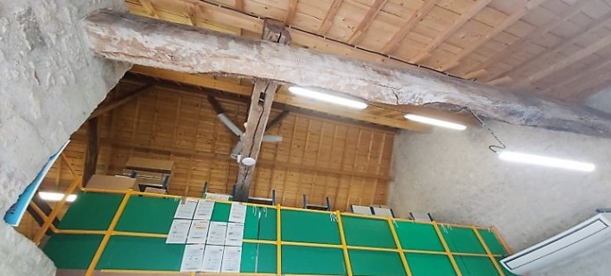 Image2