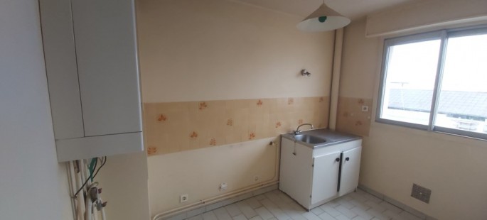 Image6