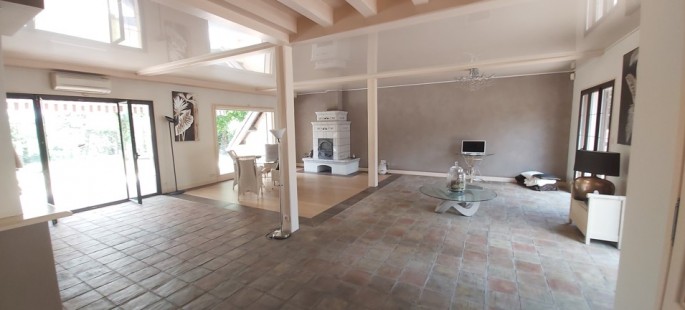 Image6