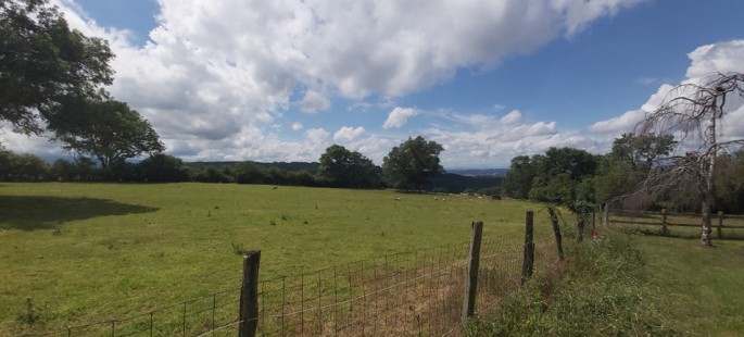 Image17