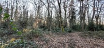 Image16