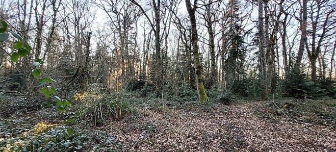 Image16