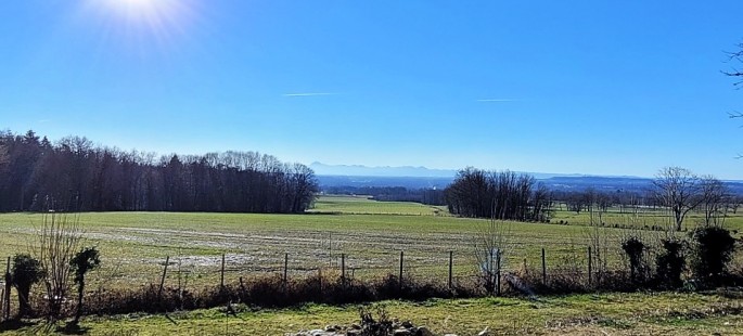 Image2