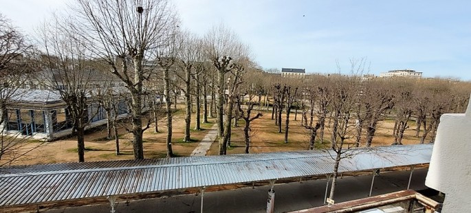 Image6