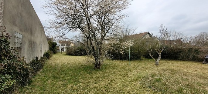 Image8