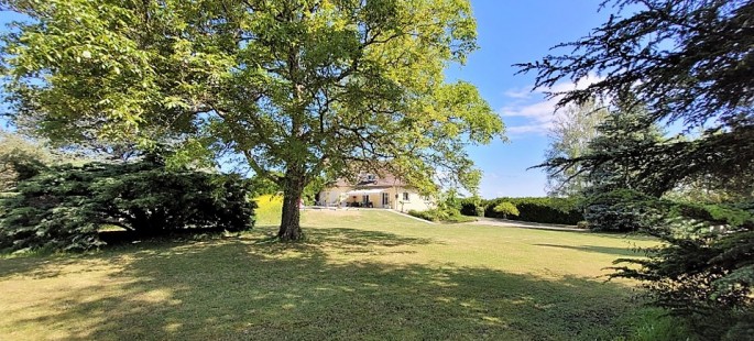 Image11