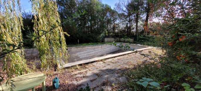 Image11