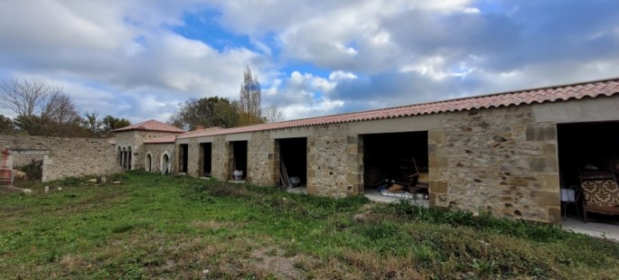 Image11