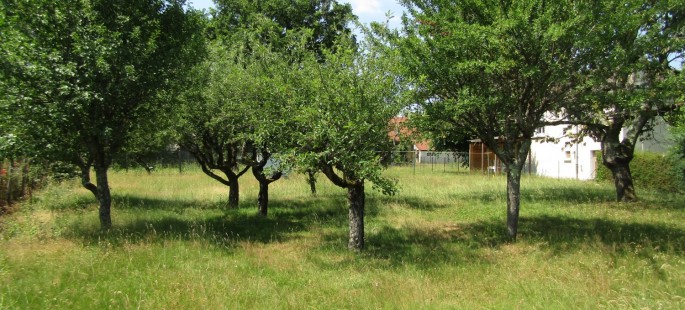Image1
