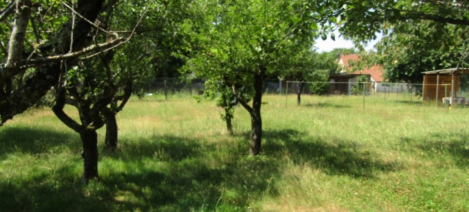 Image2