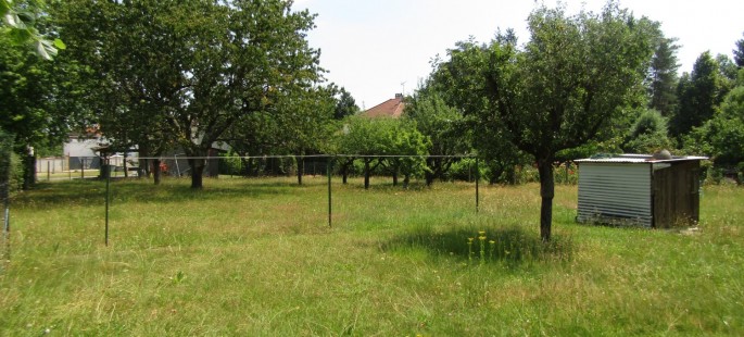 Image3