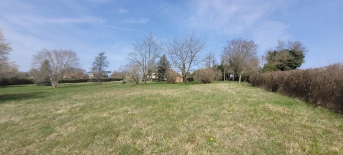 Image21