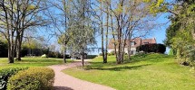 Image14