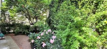 Image12