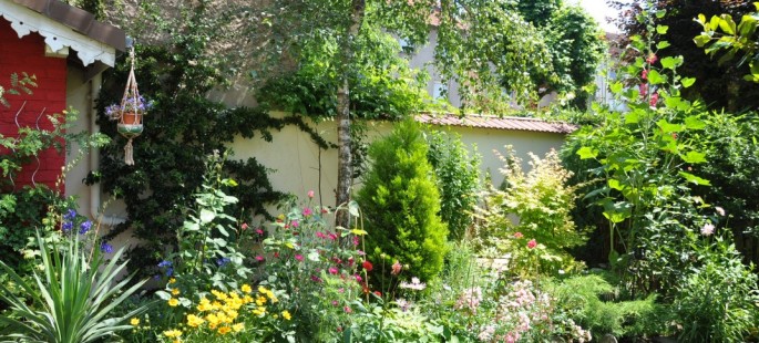 Image18